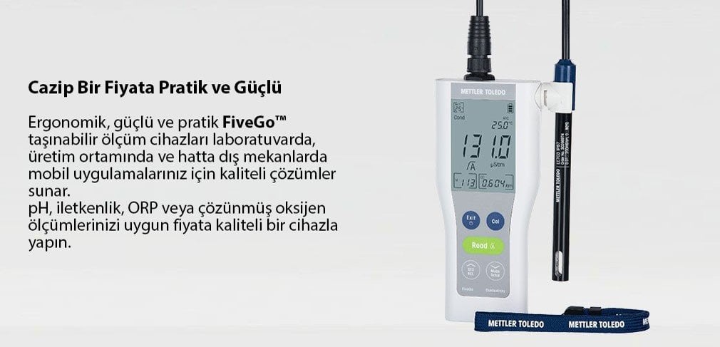 METTLER TOLEDO portatif ph metre